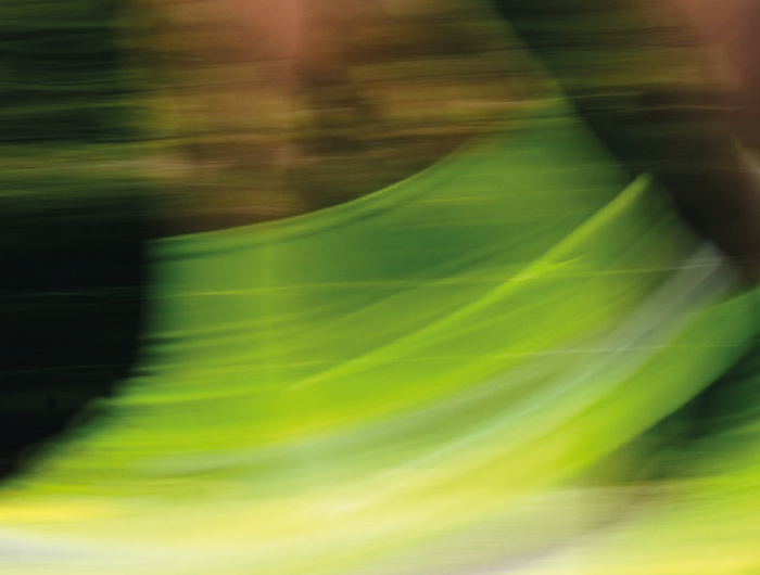 <h1>CALZADO DEPORTIVO</h1>