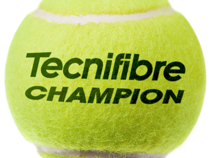 Caja de Pelotas Champion (24 tarros /3 bolas)