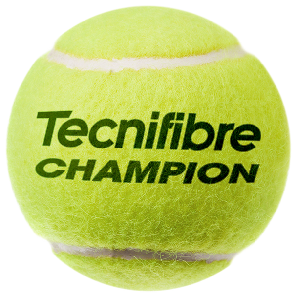 Caja de Pelotas Champion (24 tarros /3 bolas)