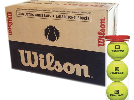 Caja De Pelotas De Tenis Wilson Practice - X 24 Tubos