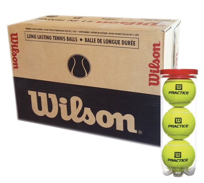 Caja De Pelotas De Tenis Wilson Practice - X 24 Tubos